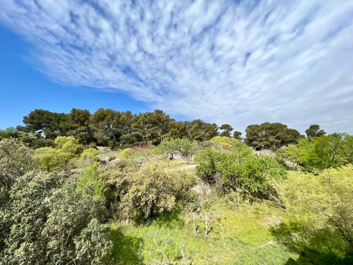 Tutto Mio Apartment Villeneuve-lès-Avignon Екстериор снимка